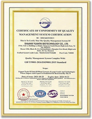 ISO 9001.jpg