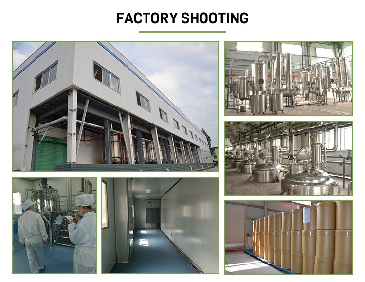 factory3
