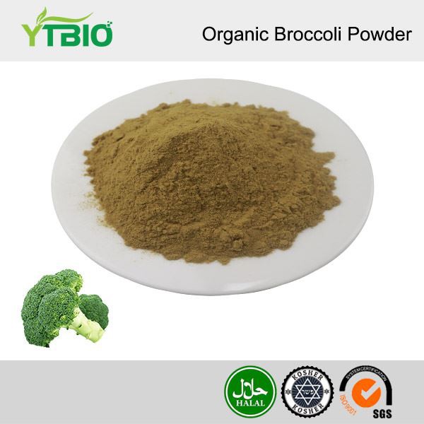 Polvo de brócoli orgánico