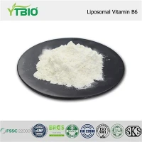 Vitamina B6 liposomal