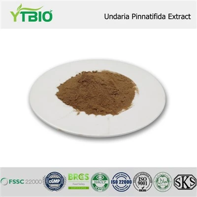 Extracto de Undaria Pinnatifida
